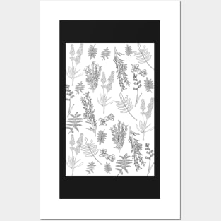 Black and White Botanical Pattern Posters and Art